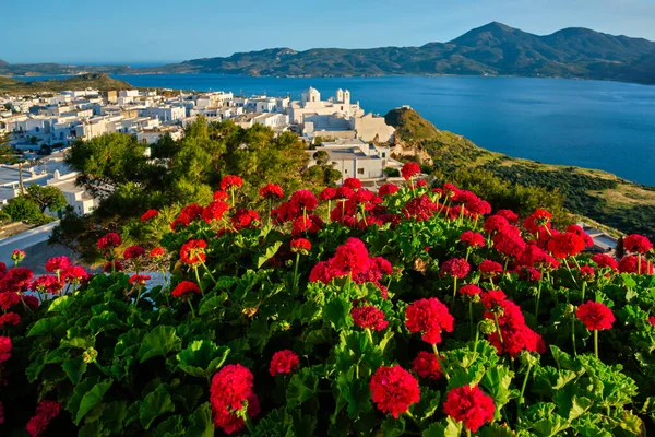 Fiori di geranio rosso con villaggio greco Plaka sull'isola di Milos in Grecia — Foto Stock