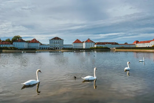 Labuť v rybníku u Nymphenburgského paláce. Mnichov, Bavorsko, Německo — Stock fotografie