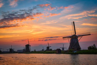 Hollanda 'daki Kinderdijk' te yel değirmenleri. Hollanda