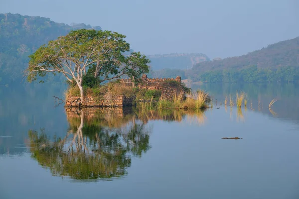 Klidné ráno na jezeře Padma Talao. Národní park Ranthambore, Rajasthan, Indie — Stock fotografie