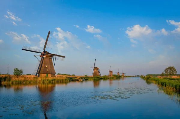 Hollanda 'daki Kinderdijk' te yel değirmenleri. Hollanda