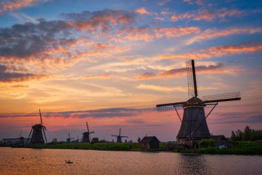 Hollanda 'daki Kinderdijk' te yel değirmenleri. Hollanda