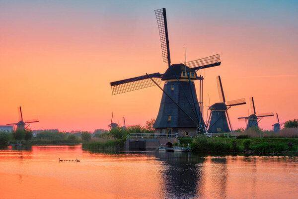 Windmills at Kinderdijk in Holland. Netherlands