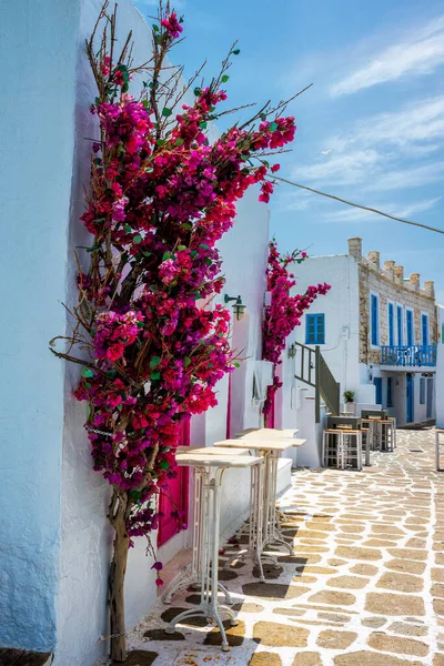 Schilderachtige straat van Naousa op het eiland Paros, Griekenland — Stockfoto