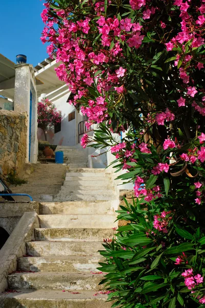 Rua grega com flores de buganvília — Fotografia de Stock