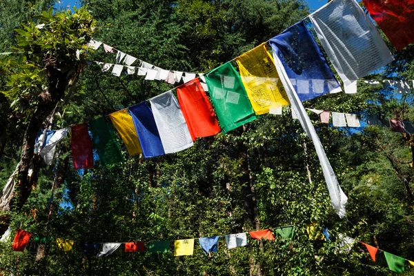 Drapeaux de prière bouddhistes lunga à McLeod Ganj, Himachal Pradesh, Inde — Photo