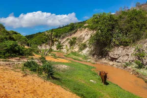 Fairy Stream Sue Tien, Vietnam — Foto Stock