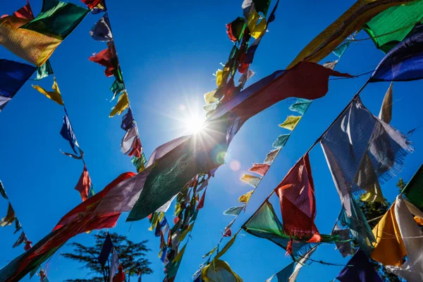 Buddhist prayer flags lunga in McLeod Ganj, Himachal Pradesh, India — Stock Photo, Image