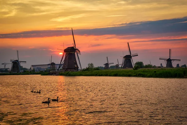 Ανεμόμυλοι στο Kinderdijk της Ολλανδίας. Κάτω Χώρες — Φωτογραφία Αρχείου