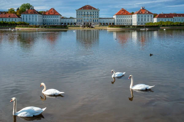 Łabędź w stawie w pobliżu pałacu Nymphenburg. Monachium, Bawaria, Niemcy — Zdjęcie stockowe