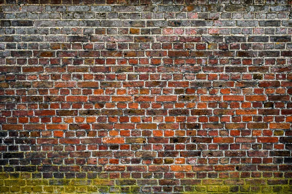 벽돌 벽의 질감 배경 — 스톡 사진