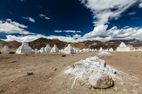 Beyazlatılmış Budist korosu, Ladakh — Stok fotoğraf