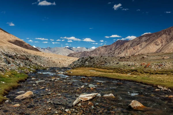 Mountain stream in Himalayas — Stock Photo, Image