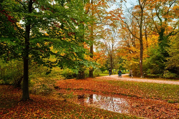 Jardim inglês de Munique Parque de jardinagem Englischer no outono. Munchen, Baviera, Alemanha — Fotografia de Stock
