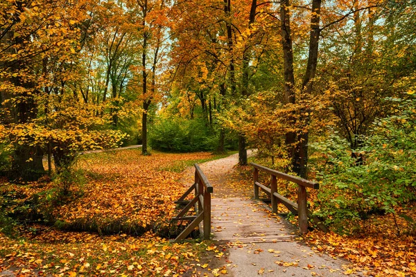 Jardim inglês de Munique Parque de jardinagem Englischer no outono. Munchen, Baviera, Alemanha — Fotografia de Stock