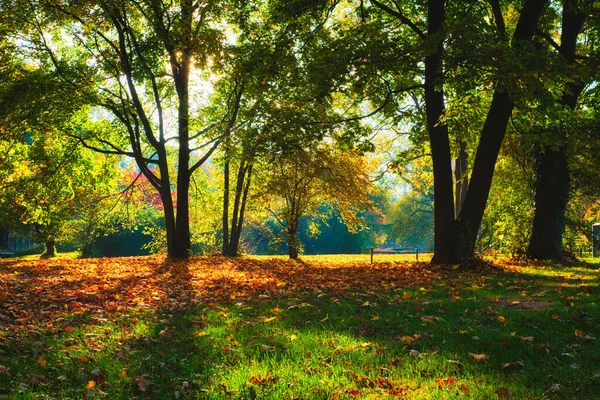 Χρυσή φθινόπωρο Φθινόπωρο Οκτώβριος στο διάσημο Μόναχο χαλαρώστε τόπο - Englishgarten. Munchen, Βαυαρία, Γερμανία — Φωτογραφία Αρχείου