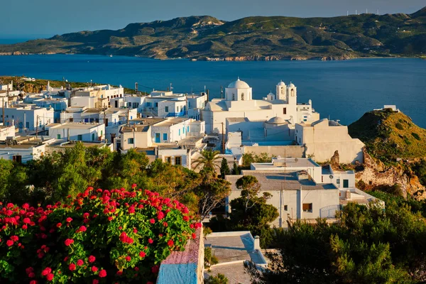 Pittoresca vista panoramica della città greca Plaka sull'isola di Milos sopra i fiori di geranio rosso — Foto Stock