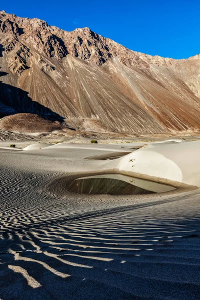 Sand dunes in Himalayas — Stock Photo, Image