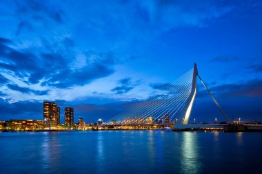 Erasmus Köprüsü, Erasmusbrug ve Rotterdam ufuk çizgisi. Rotterdam, Hollanda