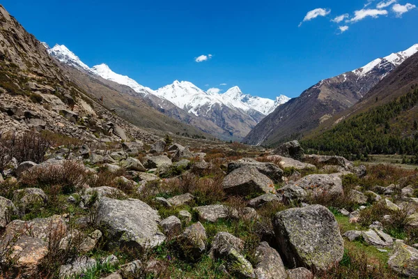 Chitkul Village, Himachal Pradesh 'ten görüntü — Stok fotoğraf