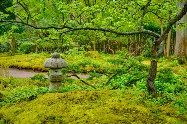 Jardim japonês, Park Clingendael, Haia, Países Baixos — Fotografia de Stock