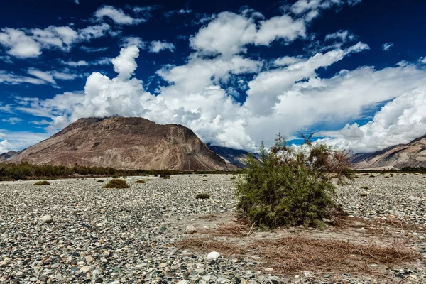 La valle di Nubra in Himalaya. Ladakh, India — Foto Stock