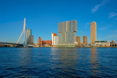 Rotterdam gökdelenleri ufuk çizgisi ve Nieuwe Maas nehri üzerindeki Erasmusbrug köprüsü. Rotterdam