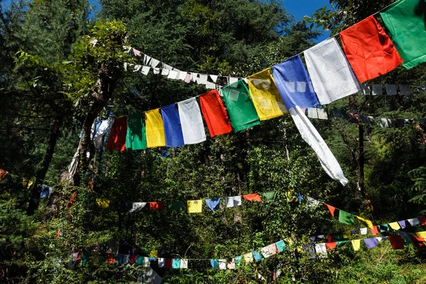 Bandiere di preghiera buddista lunga in McLeod Ganj, Himachal Pradesh, India — Foto Stock