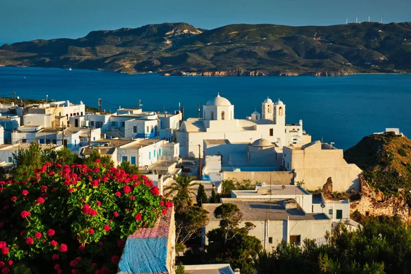 Pittoresk vacker utsikt över den grekiska staden Plaka på Milos ön över röda geranium blommor — Stockfoto