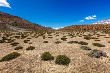 Himalayalardaki Spiti Vadisi
