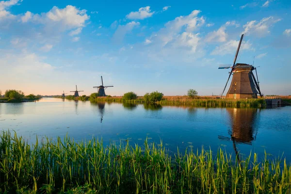 Windmolens bij Kinderdijk in Nederland. Nederland — Stockfoto