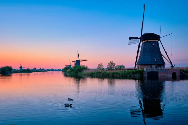 Stock image Windmills at Kinderdijk in Holland. Netherlands