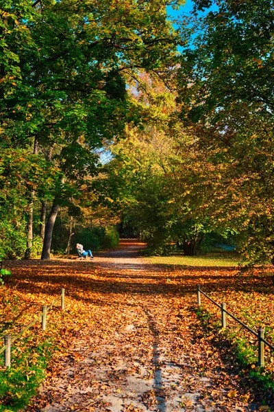 Altın Sonbahar Ekim 'i ünlü Münih halk parkında, İngiliz parkında. Munchen, Bavyera, Almanya — Stok fotoğraf