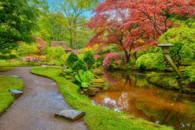 Japon bahçesi, Park Clingendael, Lahey, Hollanda