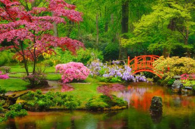 Japon bahçesi, Park Clingendael, Lahey, Hollanda
