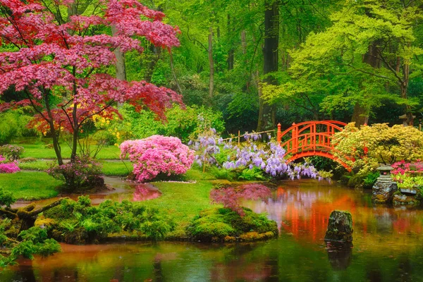 Japanischer Garten, Park Clingendael, Den Haag, Niederlande — Stockfoto