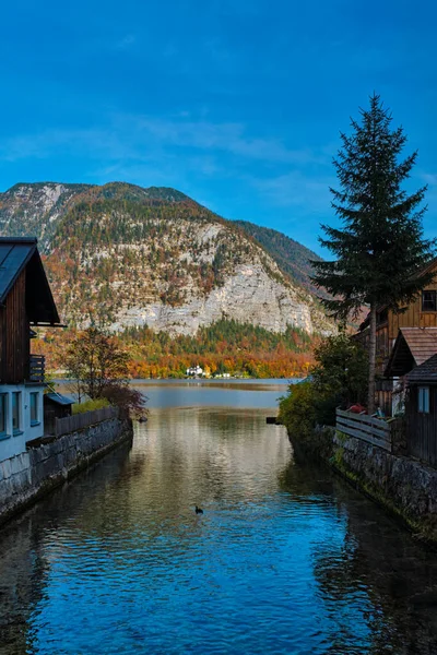 Hallstatter Katso järvi vuori järvi Itävallassa — kuvapankkivalokuva