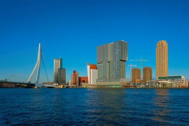Rotterdam gökdelenleri ufuk çizgisi ve Nieuwe Maas nehri üzerindeki Erasmusbrug köprüsü. Rotterdam
