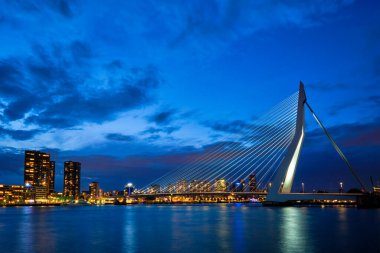 Erasmus Köprüsü, Erasmusbrug ve Rotterdam ufuk çizgisi. Rotterdam, Hollanda