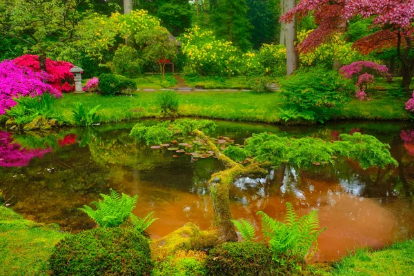 Japansk trädgård, Park Clingendael, Haag, Nederländerna — Stockfoto