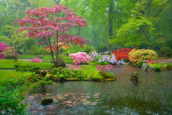 Japon bahçesi, Park Clingendael, Lahey, Hollanda — Stok fotoğraf