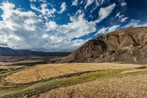 Himalayas landskap. Ladakh, Indien — Stockfoto