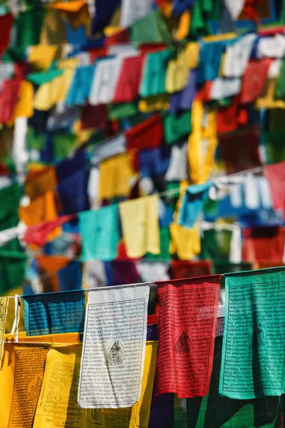 Banderas budistas de oración lunga en McLeod Ganj, Himachal Pradesh, India — Foto de Stock