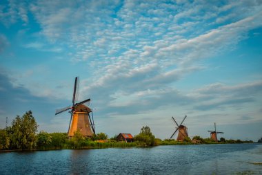 Hollanda 'daki Kinderdijk' te yel değirmenleri. Hollanda