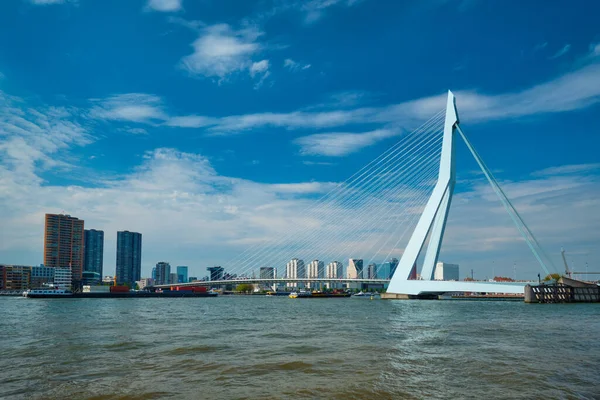 Widok Rotterdamu na Nieuwe Maas z mostem Erasmusbrug. Rottherdam, Holandia — Zdjęcie stockowe