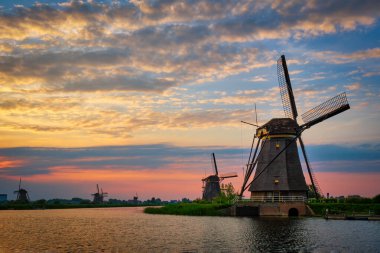 Hollanda 'daki Kinderdijk' te yel değirmenleri. Hollanda