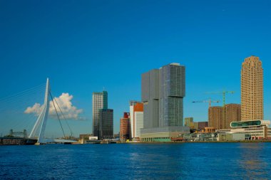Rotterdam gökdelenleri ufuk çizgisi ve Nieuwe Maas nehri üzerindeki Erasmusbrug köprüsü. Rotterdam
