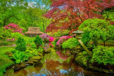 Japon bahçesi, Park Clingendael, Lahey, Hollanda