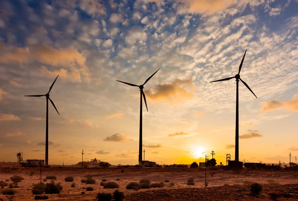 Wind generator turbines sihouettes op zonsondergang — Stockfoto