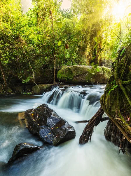 Tropischer Wasserfall — Stockfoto